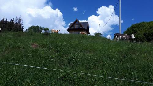 Фотография гостевого дома Domek na Ubocy