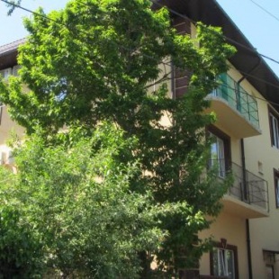 Фотография гостевого дома Волжанин