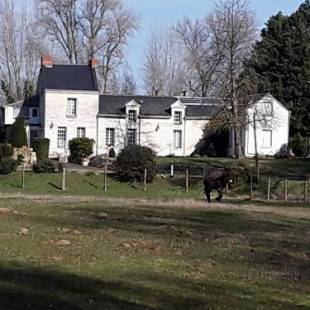 Фотографии гостевого дома
Chambres d'Hôtes de l'Ile du Saule