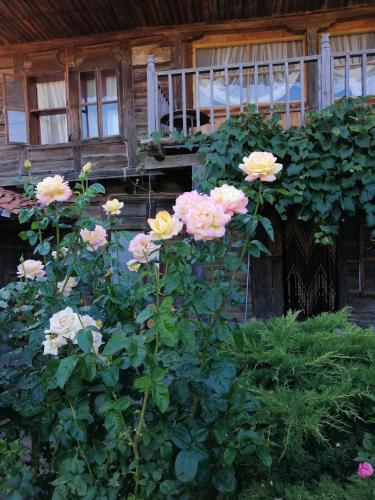 Фотографии гостевого дома
Къщата на художника