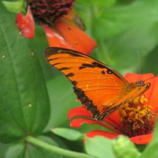 Фотографии гостевого дома
Passiflora Camp