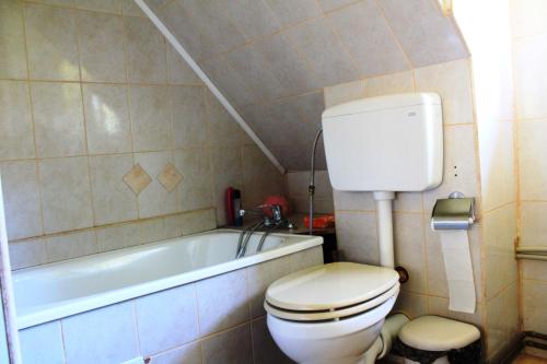 Фотография гостевого дома Pensiunea Ioana