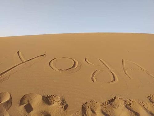 Фотография базы отдыха Desert Camel Trek