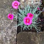 Фотография гостевого дома Bake House Cottage