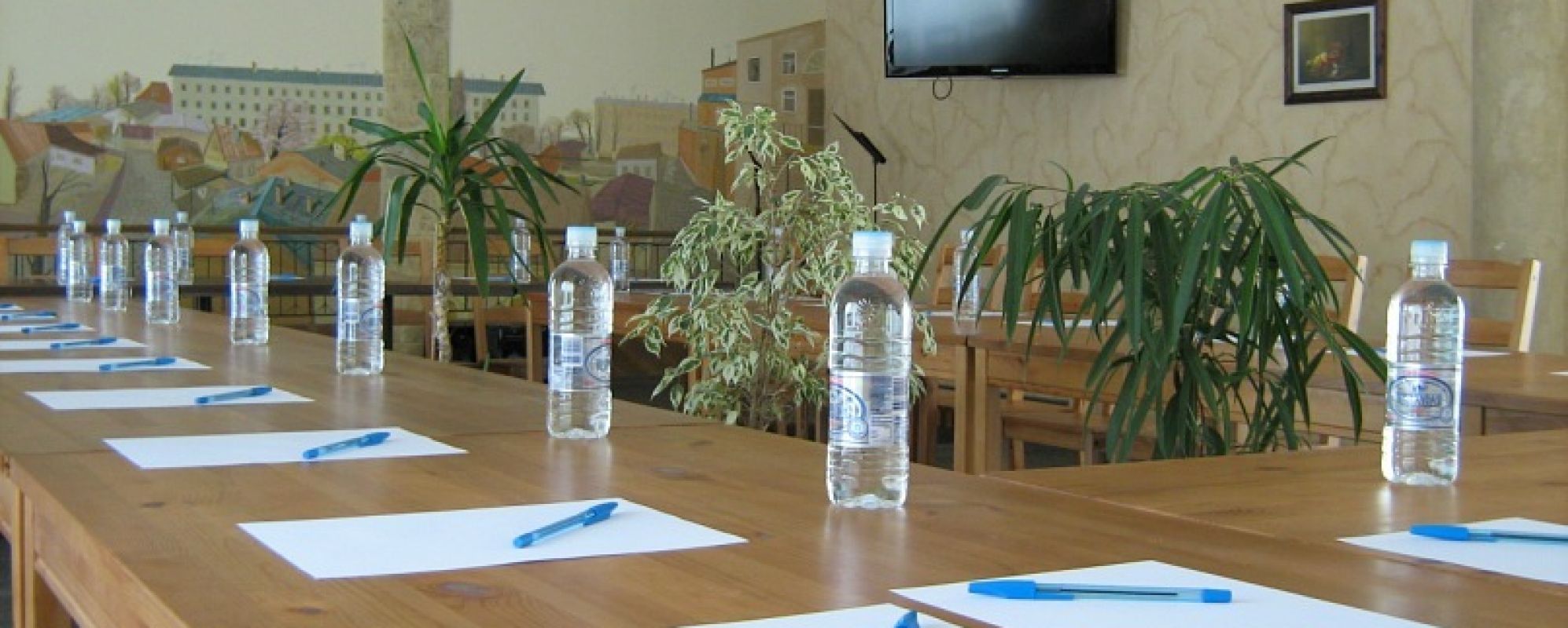 Фотографии конференц-зала Плотниковых