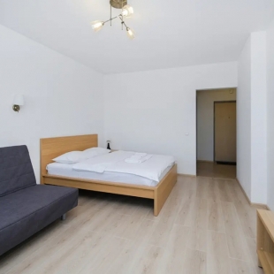 Фотография квартиры Апартаменты Домант, Фрунзе 20 (1)