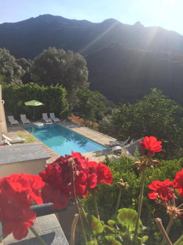 Фотография гостиницы Villa Les Orangers