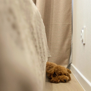 Фотография квартиры Квартира на Гусарской 7