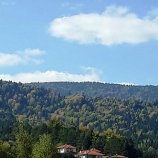 Фотография гостевого дома Вили Green