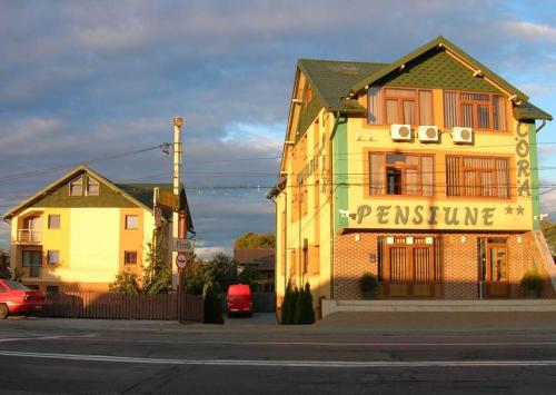 Фотография гостевого дома Pensiunea Cora