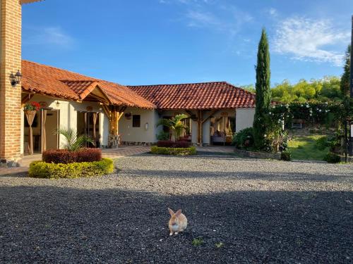 Фотография гостиницы La Victoria Hotel Campestre