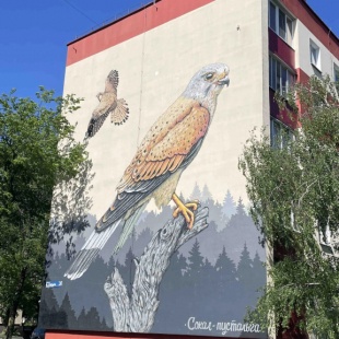 Фотография квартиры Апартаменты Sokol на набережной в пешей доступности к самому центру