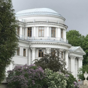 Фотография музея Елагиноостровский дворец-музей декоративно-прикладного искусства и интерьера XVIII-XXI вв.