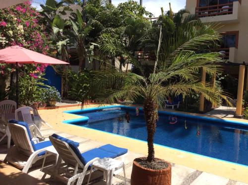 Фотография гостиницы Hotel Palmeras