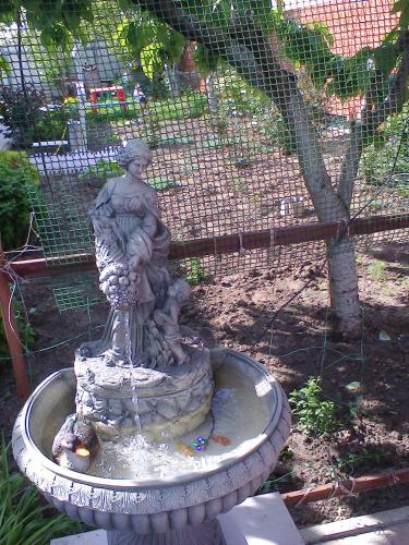 Фотографии гостевого дома
На Зеленой, 7