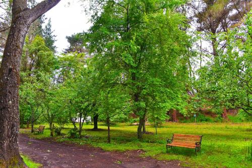 Фотография гостевого дома El Rincon