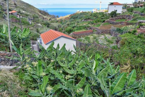 Фотографии гостевого дома 
            Casa Calhau da Lapa, a Home in Madeira