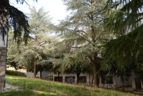 Фотография мини отеля B&B Europa