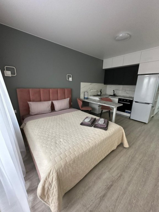 Фотографии квартиры 
            Апартаменты Пыльная Роза