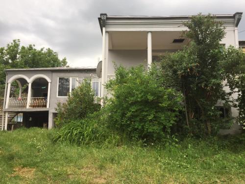 Фотография гостевого дома Olga's Guest House