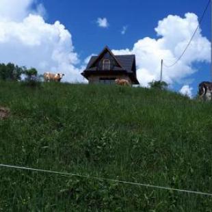Фотография гостевого дома Domek na Ubocy