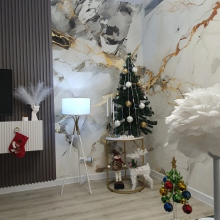 Фотография квартиры Квартира Экогород 10