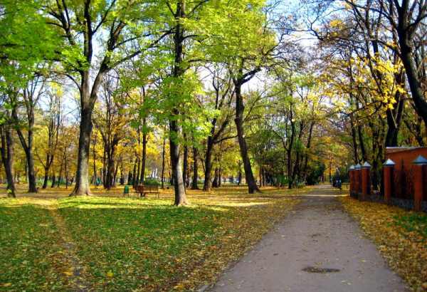 Фотография достопримечательности Молодежный парк
