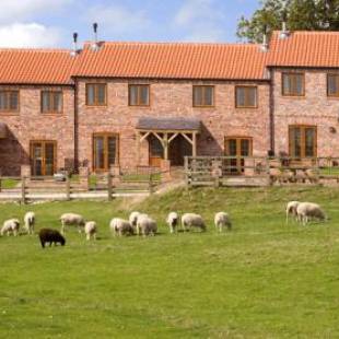 Фотографии базы отдыха
Red House Farm Cottages