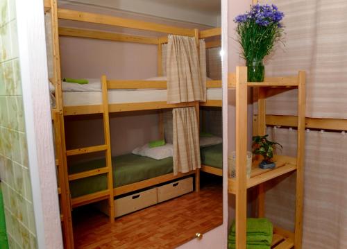 Фотография хостела GreenHostel