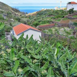 Фотография гостевого дома Casa Calhau da Lapa, a Home in Madeira