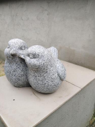 Фотографии гостевого дома
Усадьба Синички