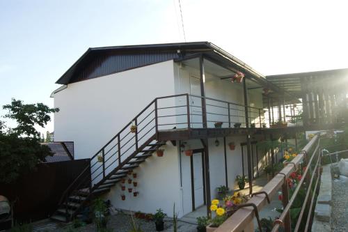 Фотография гостевого дома Альвина 2