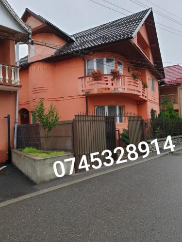 Фотография гостевого дома Pensiunea Roman Viseu SRL