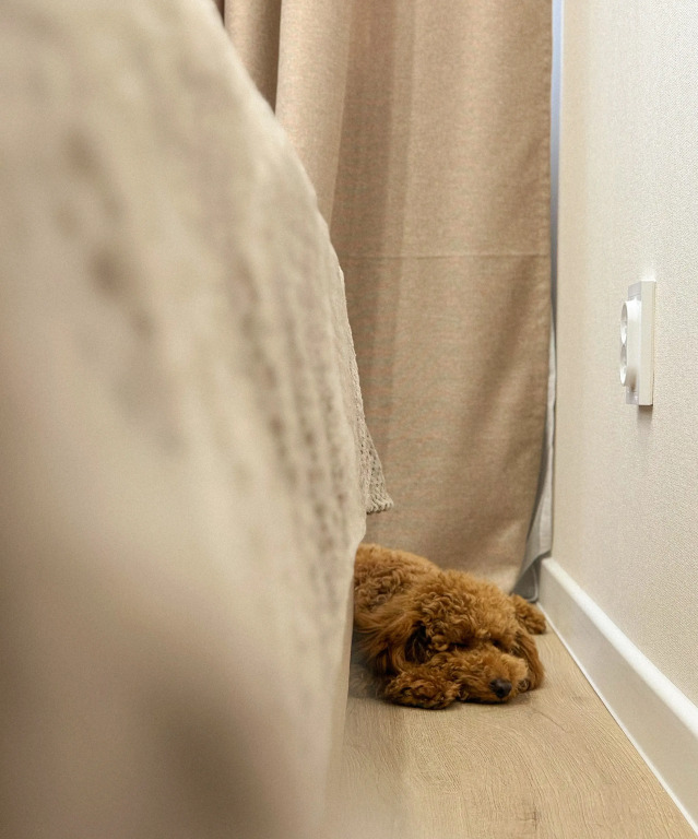 Фотография квартиры Квартира на Гусарской 7