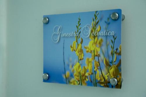 Фотография мини отеля B&B A Casa di Vittoria - Guest House