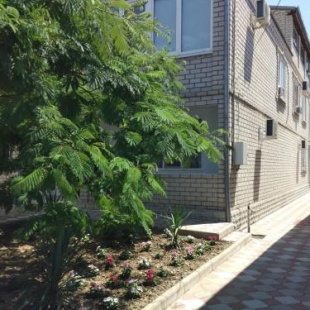 Фотография гостевого дома Афалина