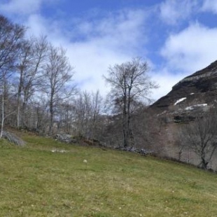 Фотография гостевого дома Preciosa cabaña pasiega restaurada