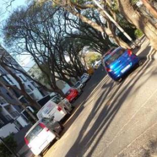 Фотографии мини отеля
Accommodation Rose Johannesburg