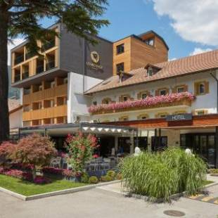 Фотографии гостиницы 
            Hotel Löwenhof