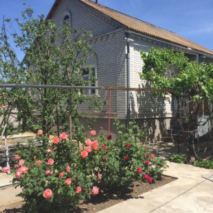 Фотография Коттеджа Частный дом для отпуска Волны Кизани