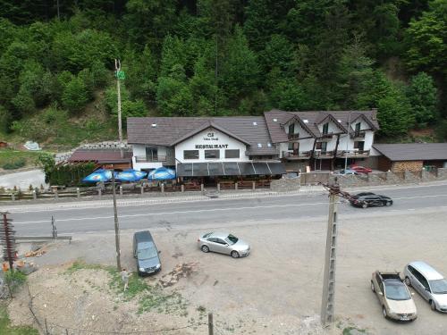 Фотография гостевого дома Pensiunea Bradului