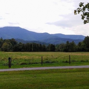 Фотография гостевого дома B & A_Lake_Cottage