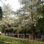 Фотография мини отеля B&B Europa