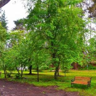 Фотографии гостевого дома 
            El Rincon