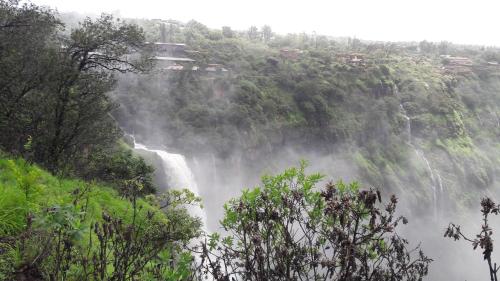 Фотография мини отеля Konark Villa
