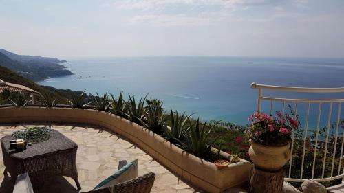 Фотография гостевого дома Villa Bella Vista