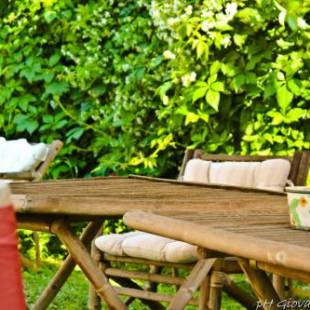 Фотографии мини отеля
Albarosa