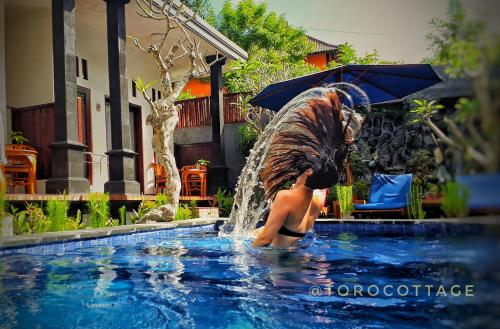 Фотография мини отеля TORO Cottage