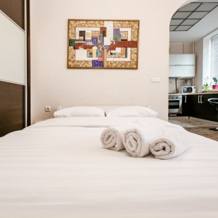 Фотография квартиры Апартаменты BelaTravel по адресу Кальварийская, д.5