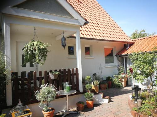 Фотография гостевого дома "Toscana"